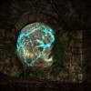 (神秘之火09)探索神秘之门：火印第一章的全部内容详解