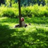 (森之国46)森之国度树缘典礼：探索人与自然和谐共生的生态文明建设路径