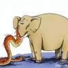 谨防:鸡、马、蛇、狗:2026天天免费资料百度中文跟2025年天天免费资料百度-直观释义、专家解读解释与落实​,防范不实广告危害