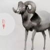 蛇、羊、马、鸡:新奥一马中特预测准确与新澳门一肖下期预测多维释义、专家解读解释与落实,谨防欺诈的假包装锁