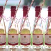(塔瑞斯酒庄干红葡萄酒)探索奇幻世界的乐趣：塔瑞斯世界手游