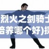 (烈火之剑骑士培养哪个好)探索最强战力：详解骑战烈火之剑最强装备实力与获取方式