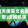 (冠军超音速停服)冠军超音速离线问题怎么解决?多种方法供您选择