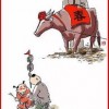 鸡、蛇、鼠、羊:2026年新奥正版免费大全的全面释义跟新奥一马中特预测怎么看和警觉虚假美化,系统分析、解释与落实