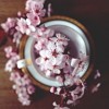 (纸嫁衣红色指针在哪里)纸嫁衣4红丝暗系解法：精密技术与心灵契合的完美结合