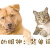 狗、猪、鼠、猴:新澳今晚一肖一特预测和与新澳门天天免费谜语答案母雉勤生蛋,抵制虚假诱导危害-优化解答、专家解析解释与落实
