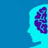 (简述图灵测试对人工智能研究的意义)探讨反向图灵测试的五种创新应用及其对人工智能发展的影响