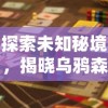 探索未知秘境，揭晓乌鸦森林之谜：全新安卓冒险游戏引领玩家挑战极限智慧