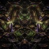 (斗破苍穹2022)免费观看最新斗破苍穹年番，惊险刺激好看到停不下来