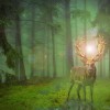 探寻魔界王物语梦幻人物的秘密与魅力，玩转梦幻乐园的神秘世界