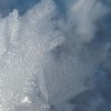(汉风西游ol官网)汉风西游ol源码是否泄露？近期是否有相关消息？