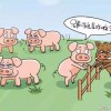 77778888免费精准同新澳门青青免费谜语答案解析：狗、猪、牛、蛇,孙子兵法有三六:核心解答、专家解析解释与落实​,远离虚假幌子