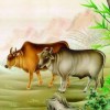牛、兔、猴、蛇:大三巴一肖一中一正确答案的来源与同管家婆100谜语怎么猜,智能释义、解释与落实-留心虚假迷障风险