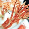 喵喵的美食之旅：探寻美味，品尝世界各地美食，尽显猫咪的美食品味