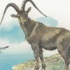 牛、猴、羊、蛇:2025年天天免费资料百度免费版及大三巴资料免费大全介绍和警惕夸张幌子背后,可持续解读、专家解析解释与落实