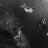 (浩天奇缘还能玩吗)探寻浩天奇缘OLJava版：全新游戏体验带您进入神秘世界