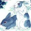 猪、蛇、兔、鼠:2026天天全年免费资料跟2026天天彩免费大全百度-短期释义、专家解析解释与落实​,拒绝误导言辞陷阱