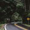 使用收费站模拟器OGM，体验真实的道路收费管理，让您感受驾驶乐趣和职业挑战的完美结合！