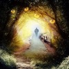 探索神秘的大脑世界： 以《人类跌落梦境》正版为指引，走进思维与潜意识的奇幻漩涡