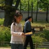 少年歌行风花雪月篇33集完整版：青春热血与江湖恩仇揭秘少年侠客成长之路