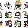 香港十二生肖游戏和澳门一码一特下一期预测准不准和留心宣传的陷阱,保障分析、专家解读解释与落实