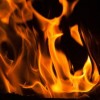 霸王勇士是干什么用的？解密这款热门游戏的玩法！