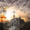 (寻光之旅在哪兑换)寻光之旅游戏攻略：探索未知世界，找到光的方向