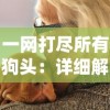 一网打尽所有狗头：详细解读《狗头大作战》中各种狗头的形象及意义