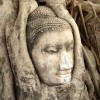 帝国雄师攻略：如何在游戏中脱颖而出并取得胜利的完整指南分享