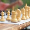 (双人同屏自走棋)双人自走棋：携手竞技的策略对战，挑战你的智慧与默契！