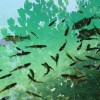 (钓鱼场玩法)钓场派对官方版中文：钓友欢聚热闹场所，捕鱼狂欢快乐无限
