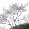 (烟雨西湖歌词全部)烟雨西湖歌曲：一首讴歌江南风情，唤起无尽惆怅与思念