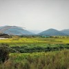 (方舟《山海经》)探寻未知之旅：方舟生存进化山海经，挑战传统，创造新世界
