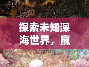 探索未知深海世界,赢取惊喜奖励:体验《海底寻宝大作战红包版》的刺激与乐趣 探索未知深海世界,赢取惊喜奖励:体验《海底寻宝大作战红包版》的刺激与乐趣