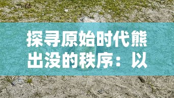探寻原始时代熊出没的秩序:以生态环境变迁角度解析熊类动物的生活习性与生存挑战 探寻原始时代熊出没的秩序:以生态环境变迁角度解析熊类动物的生活习性与生存挑战