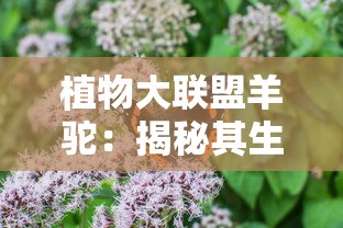 植物大联盟羊驼:揭秘其生态价值和环保焦点,呼唤全球共同保护珍稀物种 植物大联盟羊驼:揭秘其生态价值和环保焦点,呼唤全球共同保护珍稀物种