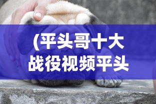 (平头哥十大战役视频平头哥大战)详解平头哥大作战攻略:精心解密关卡攻击技巧与角色升级策略 (平头哥十大战役视频平头哥大战)详解平头哥大作战攻略:精心解密关卡攻击技巧与角色升级策略