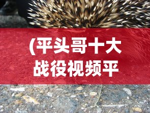 (平头哥十大战役视频平头哥大战)详解平头哥大作战攻略:精心解密关卡攻击技巧与角色升级策略 (平头哥十大战役视频平头哥大战)详解平头哥大作战攻略:精心解密关卡攻击技巧与角色升级策略