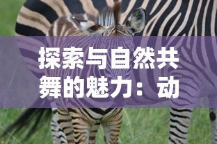 探索与自然共舞的魅力:动物森林法则游戏中的生态保护与环保意识培养 探索与自然共舞的魅力:动物森林法则游戏中的生态保护与环保意识培养