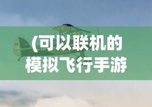 (可以联机的模拟飞行手游)针对航空爱好者:详细解析schiphalast模拟飞行游戏如何实现联机对战 (可以联机的模拟飞行手游)针对航空爱好者:详细解析schiphalast模拟飞行游戏如何实现联机对战