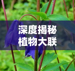 深度揭秘植物大联盟攻略:专业指南帮你轻松解锁所有角色和特技 深度揭秘植物大联盟攻略:专业指南帮你轻松解锁所有角色和特技