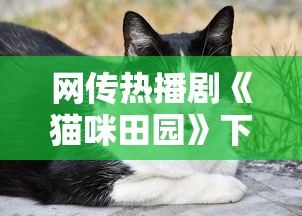 网传热播剧《猫咪田园》下架了吗?官方急需回应解读影片是否真的中止 网传热播剧《猫咪田园》下架了吗?官方急需回应解读影片是否真的中止