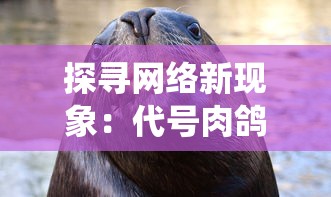 探寻网络新现象：代号肉鸽免广告的秘密，如何挑战传统广告模式？