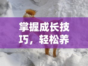 掌握成长技巧,轻松养成你的宠物:详细解读《萌鱼泡泡变异鱼攻略》中的合成与进化秘籍 掌握成长技巧,轻松养成你的宠物:详细解读《萌鱼泡泡变异鱼攻略》中的合成与进化秘籍