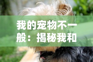 铁血王师武将搭配攻略：如何选择合适的武将组合来提升战斗力？