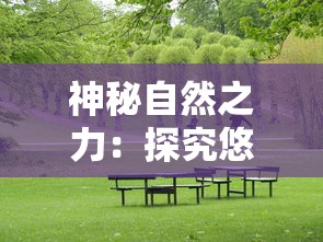 神秘自然之力：探究悠久之树元素之心的奥秘及其在生态环保中的关键作用