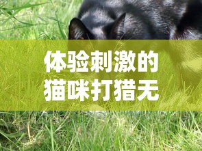 体验刺激的猫咪打猎无尽模式：揭秘如何运用无限金币获得最佳打猎成果