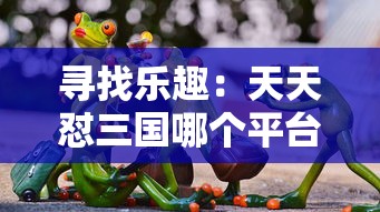 寻找乐趣：天天怼三国哪个平台还有？详细解读多平台游戏体验比较