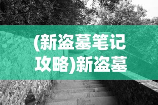 (新盗墓笔记 攻略)新盗墓笔记攻略:深度剖析探险技巧与神秘古墓解密心得 (新盗墓笔记 攻略)新盗墓笔记攻略:深度剖析探险技巧与神秘古墓解密心得