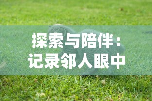 探索与陪伴:记录邻人眼中我家宠物不可能的萌化过程,揭示人类与萌宠之间无法断裂的情感纽带 探索与陪伴:记录邻人眼中我家宠物不可能的萌化过程,揭示人类与萌宠之间无法断裂的情感纽带